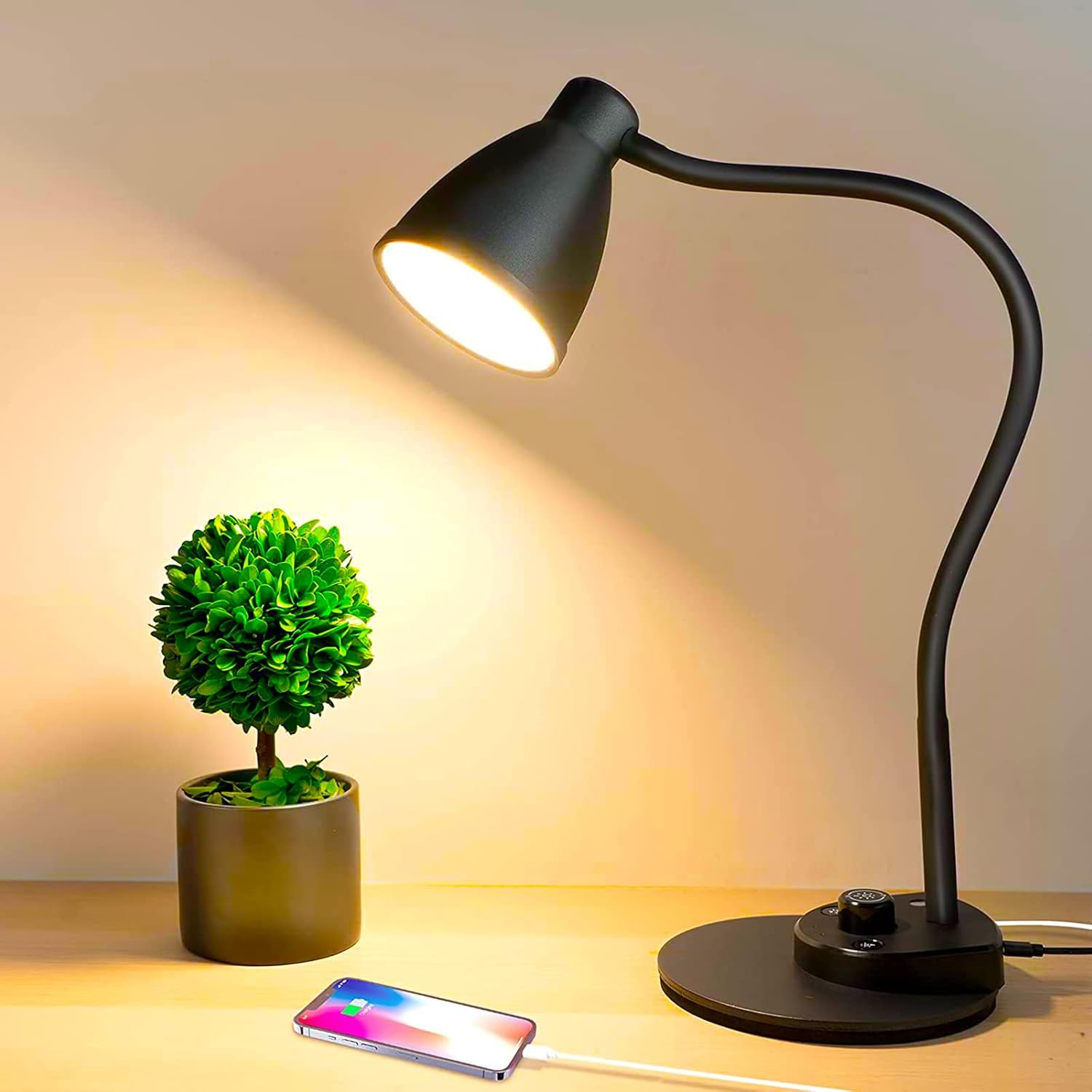 Dimmable LED Desk Lamp With USB Port